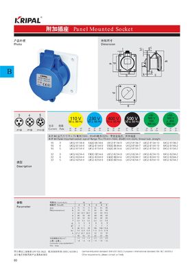 ইন্ডাস্ট্রিয়াল সিঙ্গেল ফেজ16A 230V IP44 প্যানেল মাউন্ট করা সকেট IEC স্ট্যান্ডার্ড