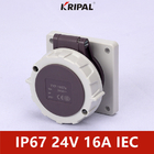 48V 32A IP67 3P লো ভোল্টেজ প্যানেল মাউন্ট করা সকেট IEC স্ট্যান্ডার্ড
